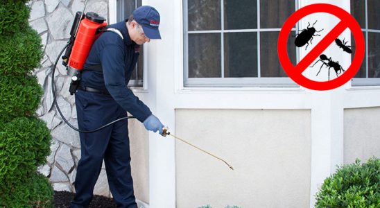 Samandağ Kemirgen İlaçlama böcek ilaçlama ve haşere kontrolü — ilaclama-tr.com